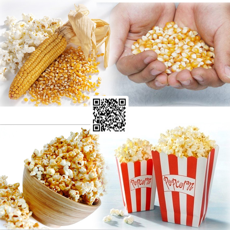 POPCORN