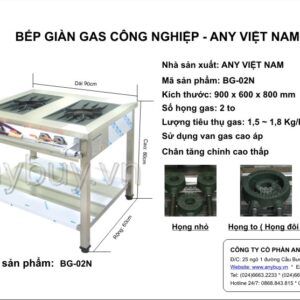 Thông số kỹ thuật Bếp giàn gas 2 họng to model BG-02N