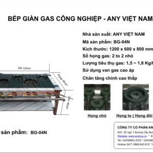 Bếp giàn gas 2 to 2 nhỏ BG-04N