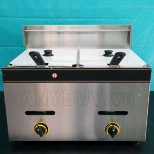 Tổng quan của Bếp chiên nhúng gas đôi YF-72