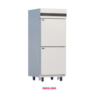 Tủ đông mát đứng 2 cánh DMDQ-2I600