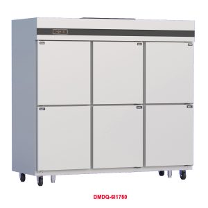 Tủ đông mát đứng 6 cánh DMDQ-6I1750