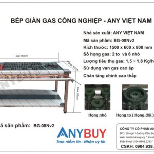 한국식 주방 Bếp Hàn Quốc 2 To 6 Nhỏ model BG-06Nv2