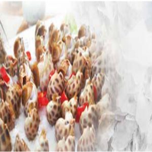 Ứng dụng của đá vảy