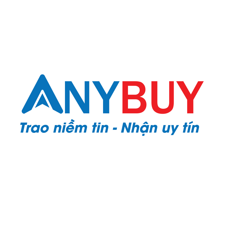 Logo Công ty cổ phần ANY Việt Nam