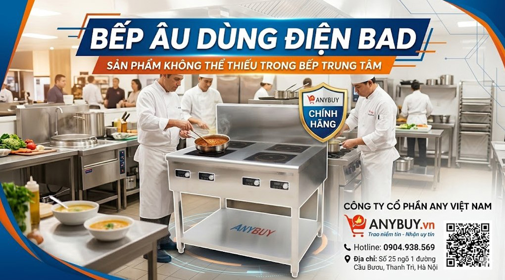 Bếp Âu Dùng Điện BAD