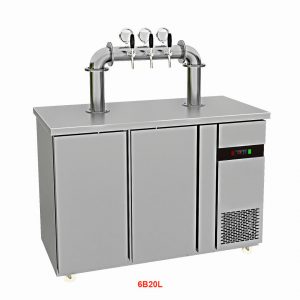 Tủ bảo quản bia khô quạt gió 6B20L