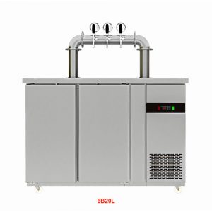 Tủ bảo quản bia khô quạt gió 6B20L