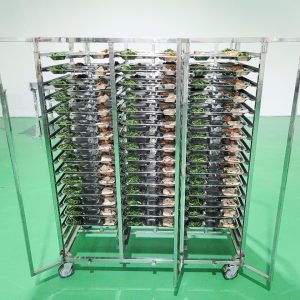 Xe Đẩy Khay Cơm XD-KC