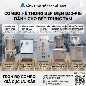 Hệ Thống Bếp Điện B30 K18
